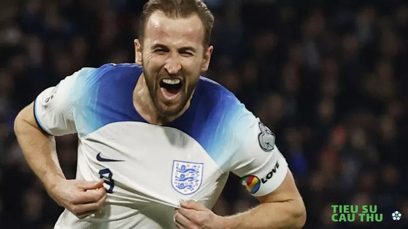 Thống kê số liệu về cầu thủ Harry Kane