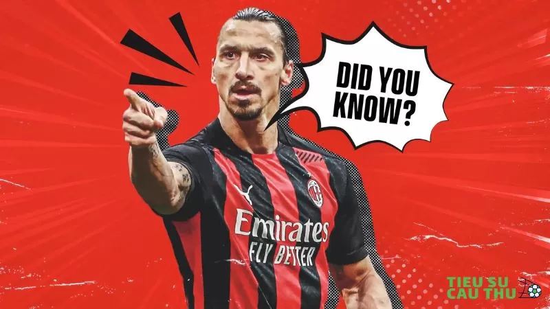 Tiểu sử cầu thủ Ibrahimovic
